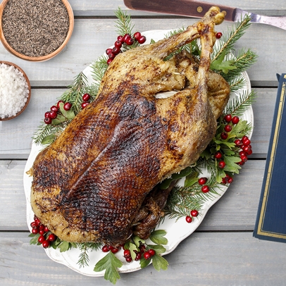 Svatomartinská husa